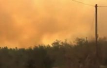 В ​​​​​​​Греции из-за лесных пожаров взорвался склад с боеприпасами: момент попал на видео