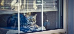 Тест со стаканом покажет, исправно ли функционируют ваши пластиковые окна