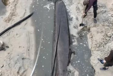 На обмілілому березі Дніпра знайшли давній човен-довбанку (відео)