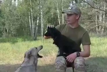 По лесу бежали от режима Лукашенко для защиты Украины: пограничники показали псов-героев (видео)