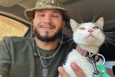 Известный боевой кот Шайба вернулся к владельцу-военному: его искали три недели