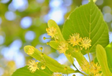 10 июня сильная жара наконец покинет Украину (карта)