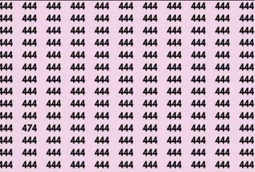 Не всі можуть швидко знайти номер 474 на малюнку: перевірте себе