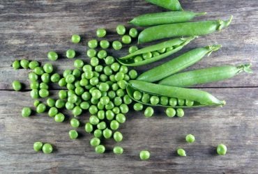 Червяки уползут сами: лайфхак, чем обработать горох от вредителей