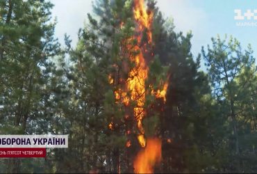 В восьми областях объявлен чрезвычайный уровень пожарной опасности