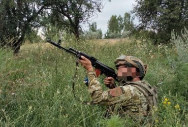 Замечательная антидроновая симфония: на юге Музыкант справился со стаей птичек россиян (фото)