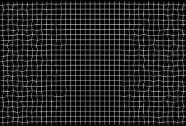 Необычная оптическая иллюзия свела с ума сеть (фото)