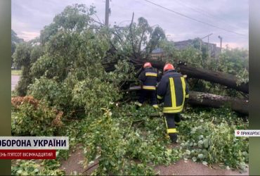 Внезапный смерч на Прикарпатье уничтожил имущество и выкорчевал деревья
