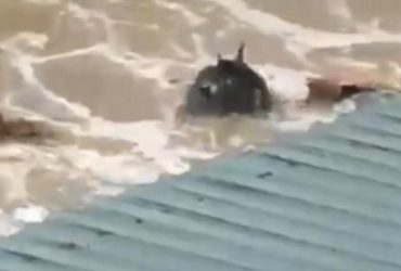 Прибило штормом: на побережье взорвалось несколько мин, есть разрушения