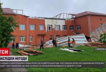 Страшная непогода: три человека утонули в море, на женщину упало дерево