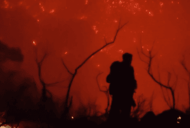 На курортах Греції спалахнули сотні лісових пожеж: вогонь нарешті взяли під контроль (відео)