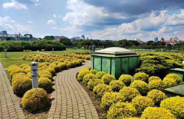 Чому туристи так люблять ботсад на даху бібліотеки Варшавського університету (фото, відео)