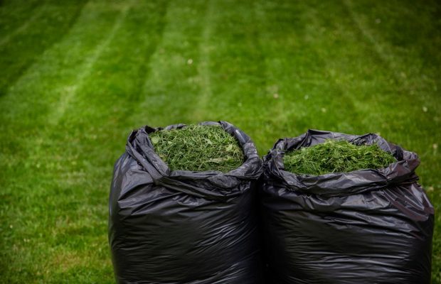 Цього методу ви точно не знали: лайфхак, для чого можна використовувати скошену траву
