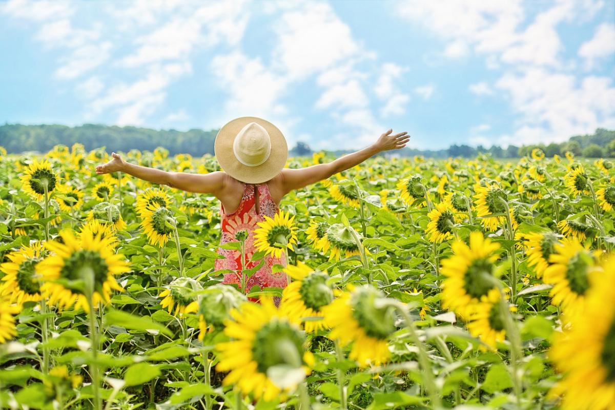 З 18 липня в Україні почне свіжішати / фото Jill Wellington / Pixabay З 18 липня в Україні почне свіжішати / фото Jill Wellington / Pixabay