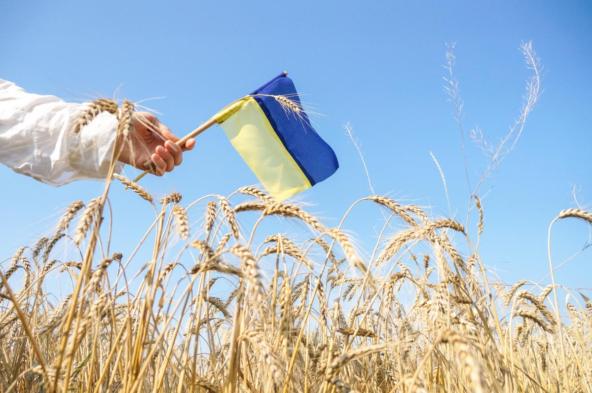8% верят, что Украине сможет помочь российская оппозиция из-за расшатывания ситуации в России / фото ua.depositphotos.com 8% верят, что Украине сможет помочь российская оппозиция из-за расшатывания ситуации в России / фото ua.depositphotos.com