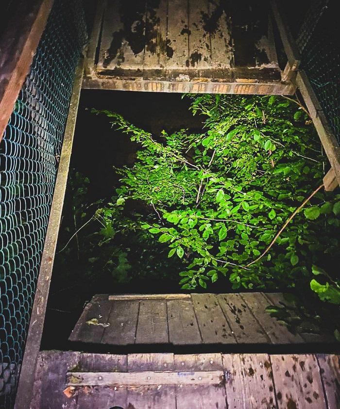 фото ГСЧС Украины