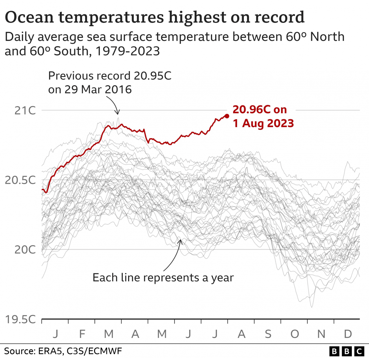Это уже джакузи: температура океана достигла наивысшей отметки / изображение BBC