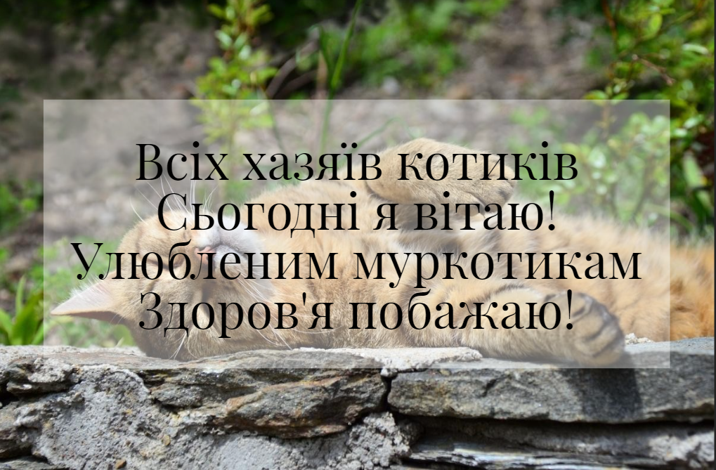 З Днем котів 2023 / фото pixabay.com З Днем котів 2023 / фото pixabay.com