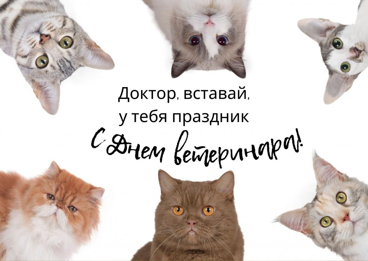 День ветеринара - открытки / canva.com День ветеринара - открытки / canva.com