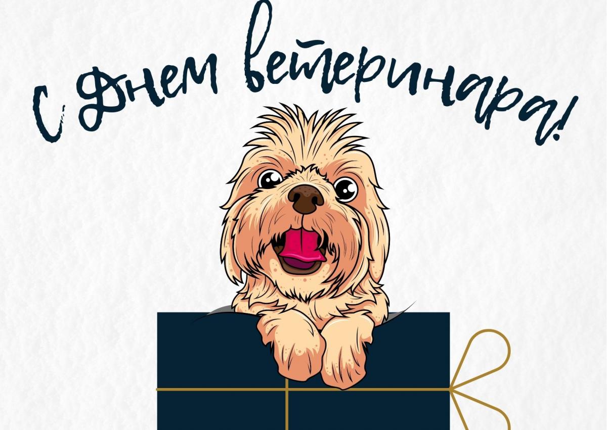 День ветеринара - поздравление / canva.com День ветеринара - поздравление / canva.com