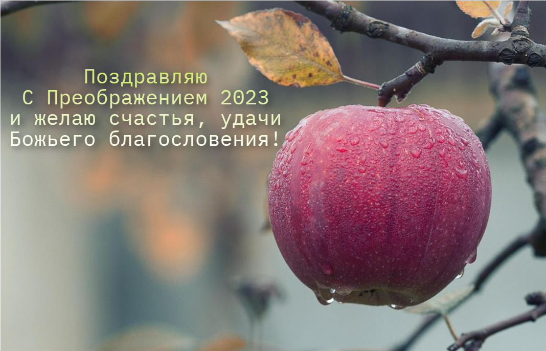 С Преображением 2023 / фото pixabay.com С Преображением 2023 / фото pixabay.com