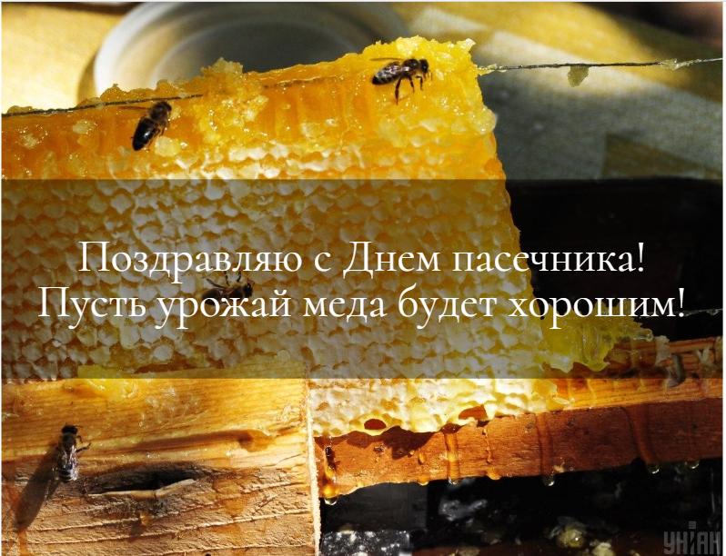 Картинка с Днем пасечника / фото УНИАН Картинка с Днем пасечника / фото УНИАН