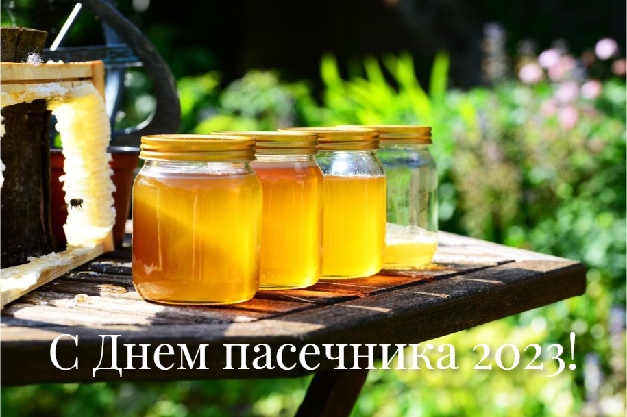 С Днем пасечника 2023 картинки / фото Pixabay С Днем пасечника 2023 картинки / фото Pixabay