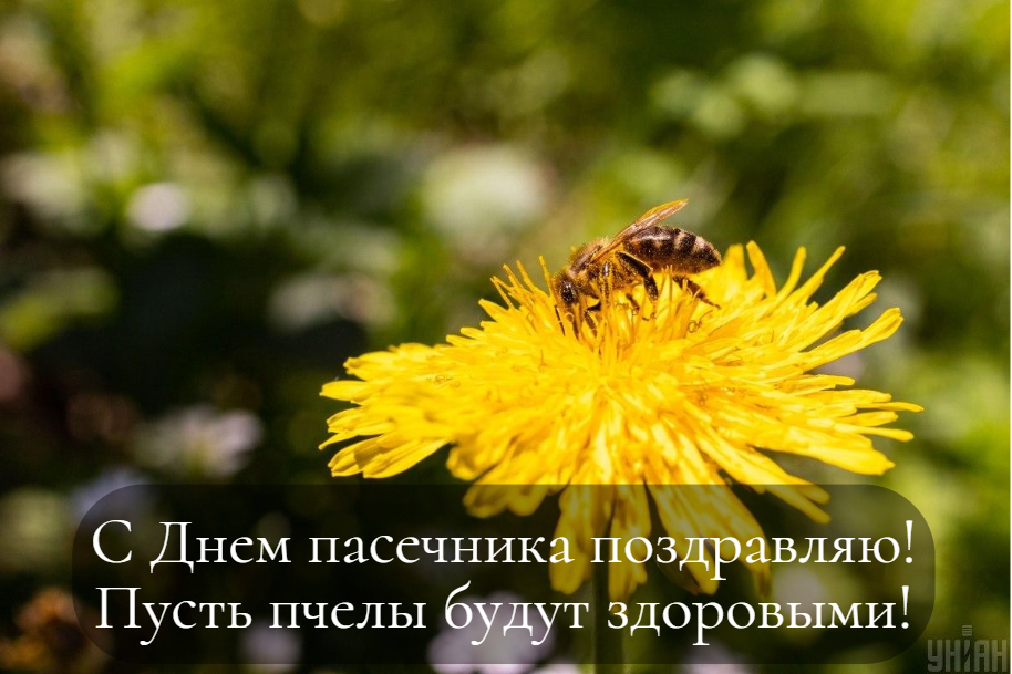 С Днем пасечника картинки / фото УНИАН С Днем пасечника картинки / фото УНИАН