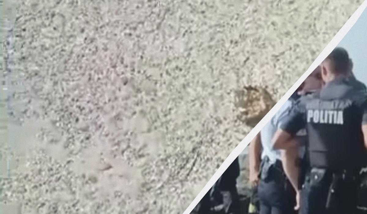 Вранці на пляжі відомого курорту в Румунії прогримів вибух, в морі, ймовірно, розірвало міну / колаж УНІАН, скріншот з відео Вранці на пляжі відомого курорту в Румунії прогримів вибух, в морі, ймовірно, розірвало міну / колаж УНІАН, скріншот з відео