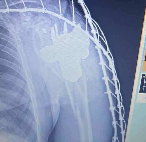 фото Командування Медичних сил ЗСУ