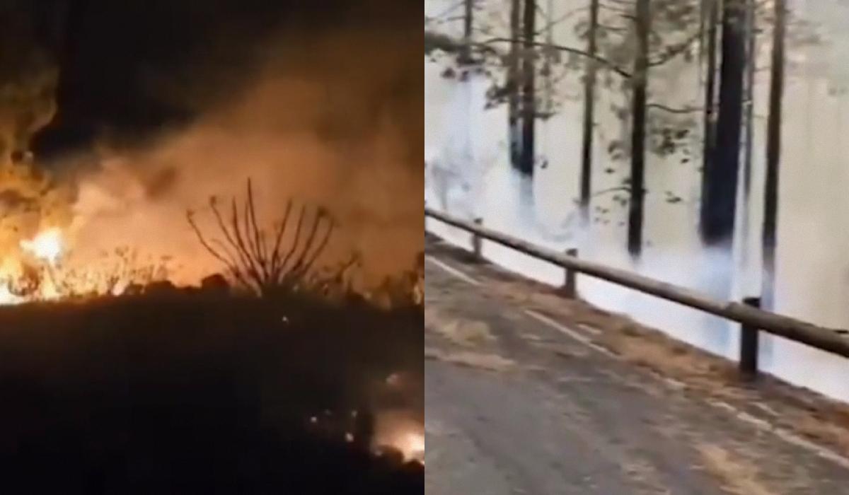 На Канарских островах произошел самый ужасный пожар десятилетия / коллаж УНИАН, скриншот из видео Independent На Канарских островах произошел самый ужасный пожар десятилетия / коллаж УНИАН, скриншот из видео Independent