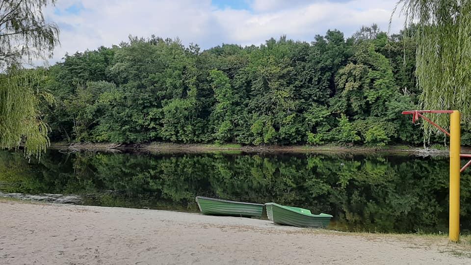 Кремінські ліси мали стати якірною туристичною локацією регіону / фото facebook.com/lishyk.olga