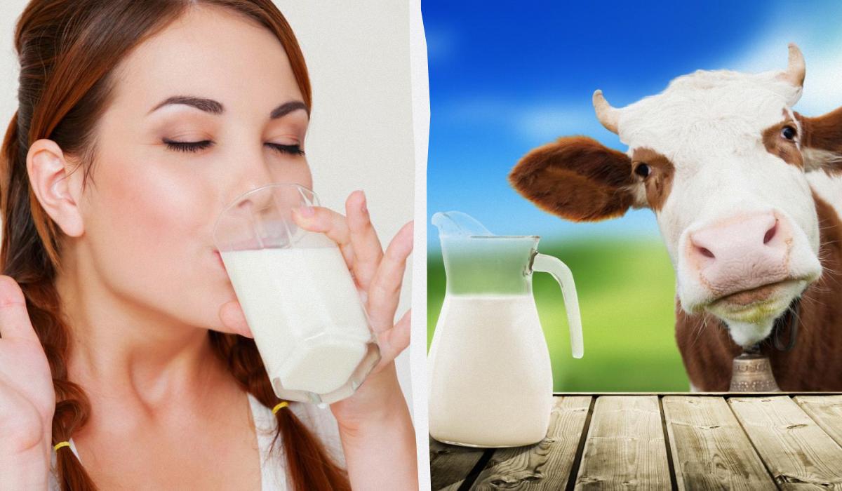 Растительное молоко - польза и вред / коллаж УНИАН, фото ua.depositphotos.com Растительное молоко - польза и вред / коллаж УНИАН, фото ua.depositphotos.com