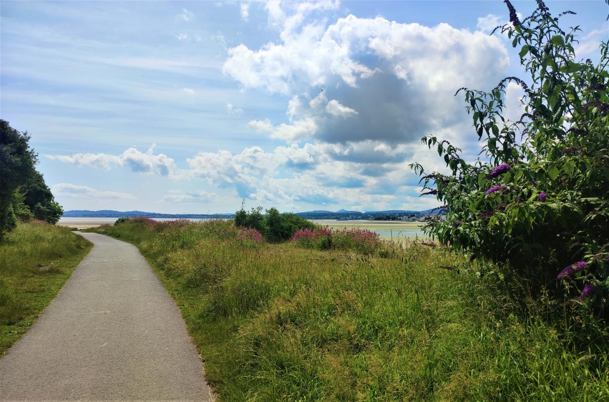 Irishtown Nature Park в Дубліні / фото Марина Григоренко