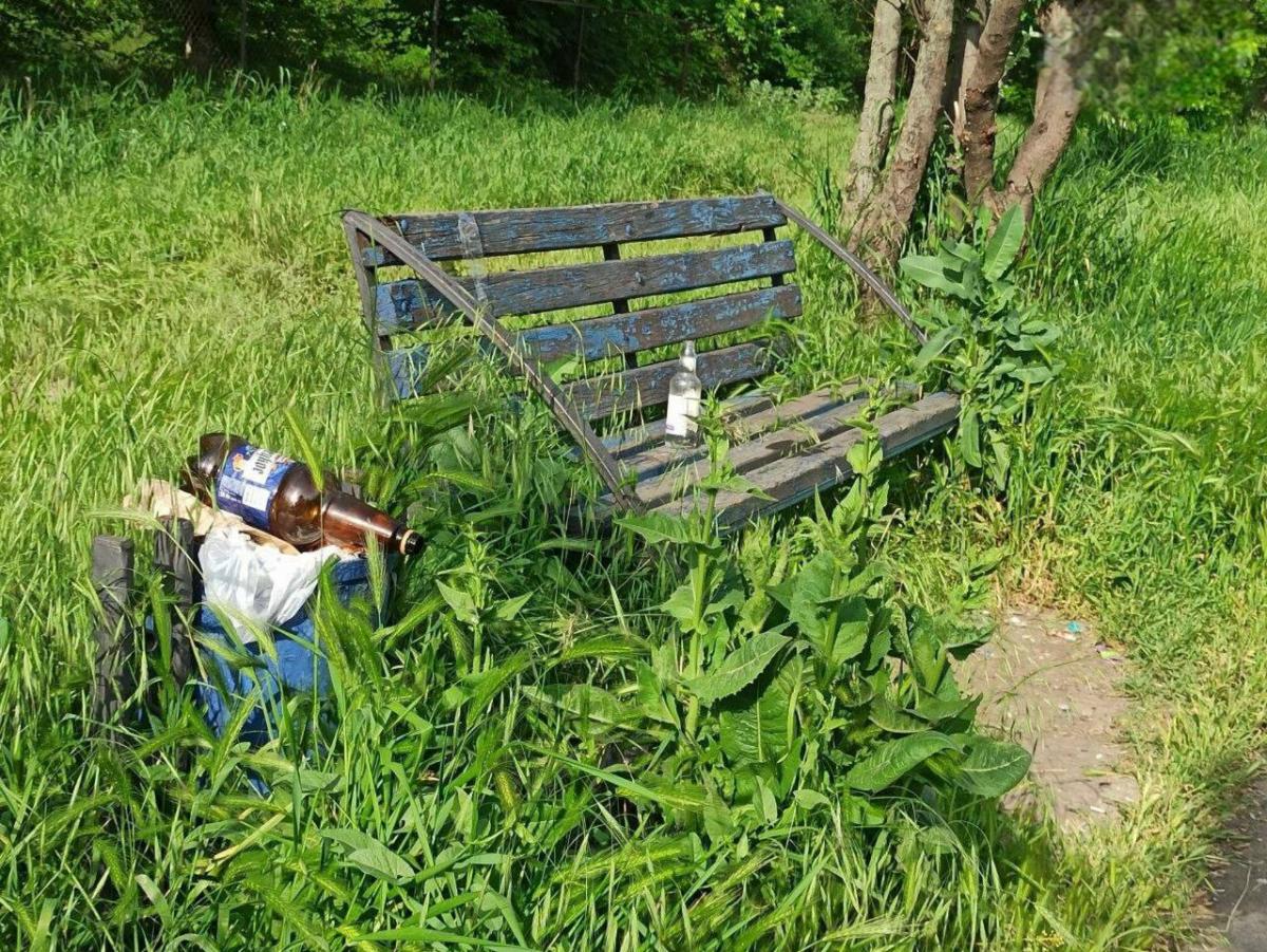 Вулиці Маріуполя заростають бур'яном / Телеграм-канал Маріупольської міськради Вулиці Маріуполя заростають бур'яном / Телеграм-канал Маріупольської міськради