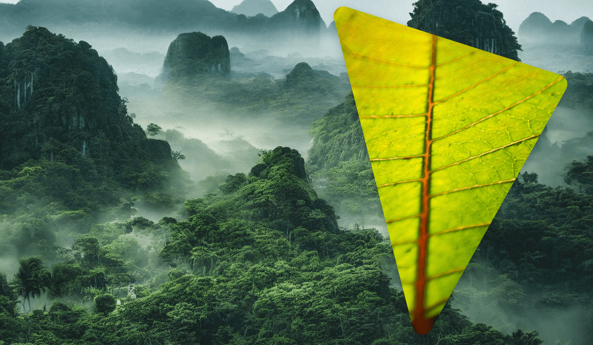Тропічні ліси можуть витримати додаткове глобальне потепління приблизно на 4 градуси / колаж УНІАН, фото flickr.com/15216811@N06, pixabay.com