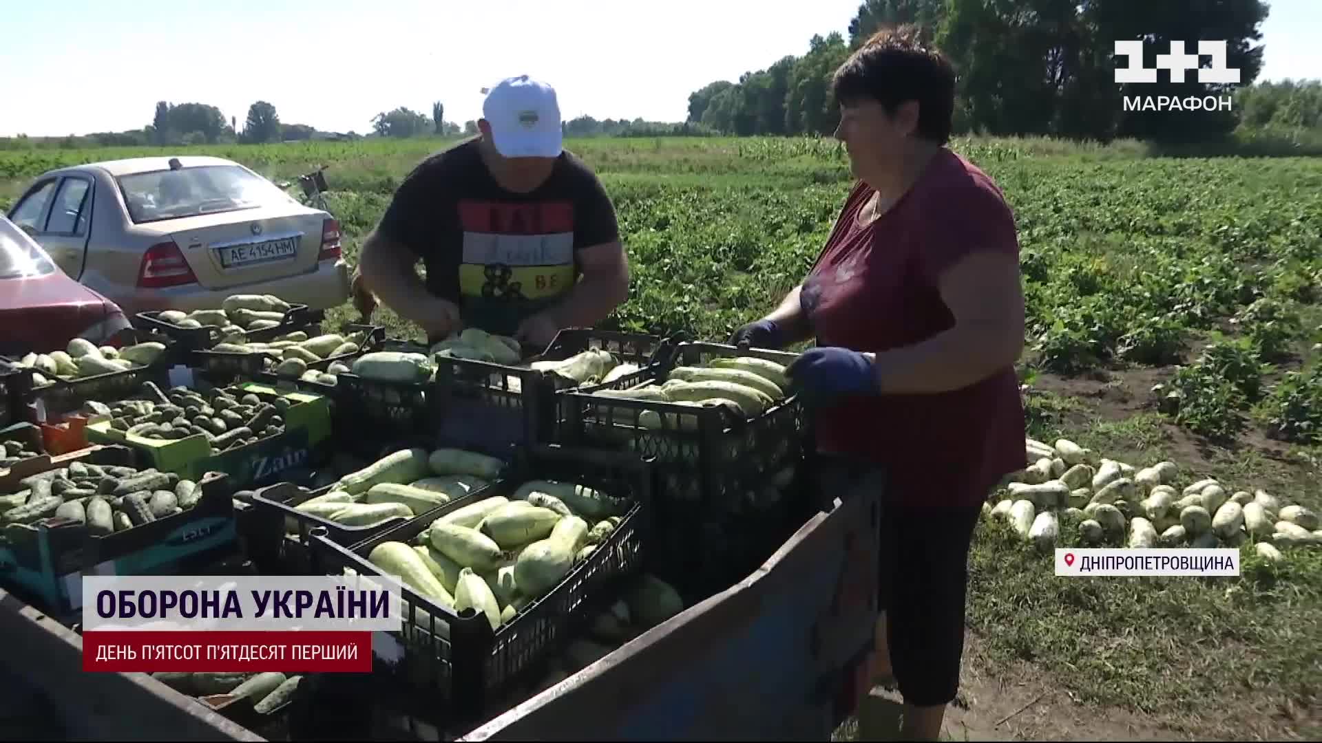 Педиатр - Санкос в Кишиневе