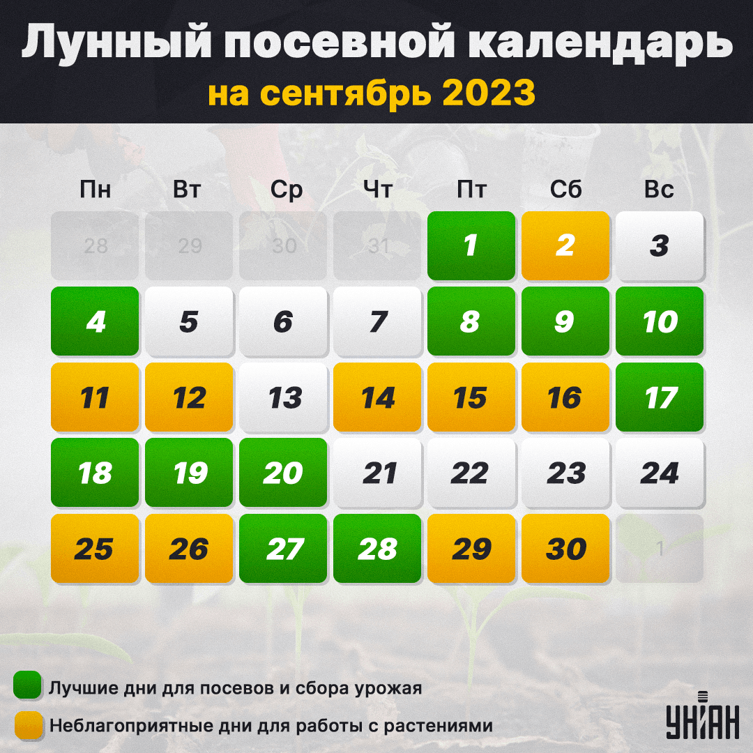 Місячний посівний календар на вересень 2023 таблиця / фото УНІАН Місячний посівний календар на вересень 2023 таблиця / фото УНІАН
