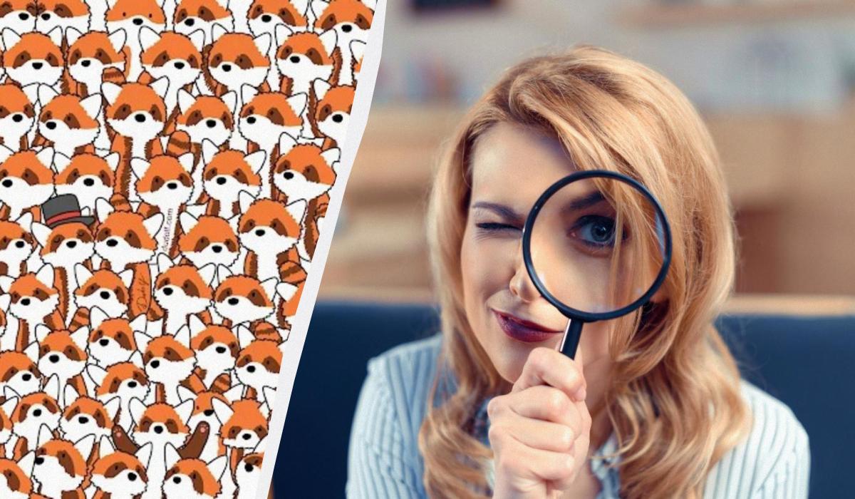 В сети появилась головоломка с милыми пандами и лисицами / коллаж УНИАН, фото ua.depositphotos.com, Dudolf В сети появилась головоломка с милыми пандами и лисицами / коллаж УНИАН, фото ua.depositphotos.com, Dudolf