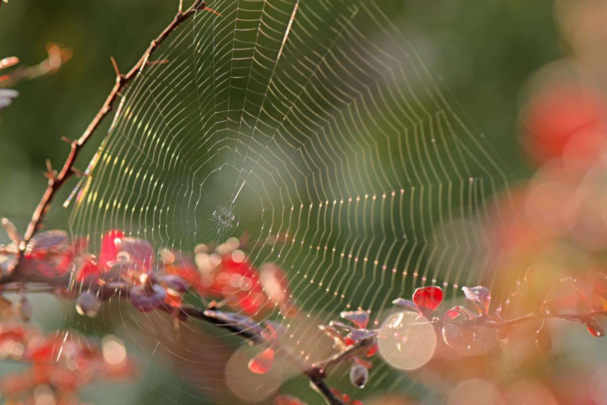 https://images.unian.net/photos/2023_08/1693381950-7689.jpg?r=232202