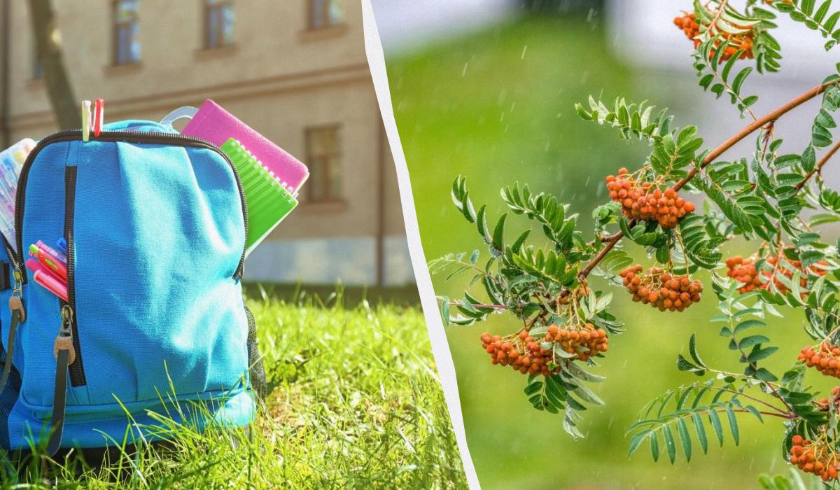 1 сентября в большинстве областей температура будет комфортной / коллаж УНИАН, фото ua.depositphotos.com, фото Michael Kleinsasser/Pixabay 1 сентября в большинстве областей температура будет комфортной / коллаж УНИАН, фото ua.depositphotos.com, фото Michael Kleinsasser/Pixabay