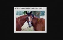 У мережі завірусилася нова головоломка: тільки люди з високим IQ можуть розгадати цю ілюзію