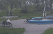 "Похожа на еврейку: в России "герои СВО" пытались утопить девушку в фонтане (видео)