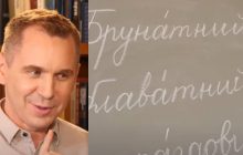 Брунатний та блаватний: відомий мовознавець розповів, які це кольори (відео)