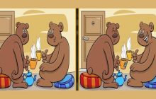 Хитрі ведмедики: тільки люди з гострим зором розгадають цю головоломку за 24 секунди
