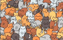 Головоломка для справжніх котолюбів: знайдіть мишку серед котів за 6 секунд