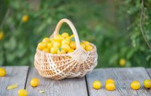 Як приготувати домашнє вино з аличі: ваші гості будуть благати поділитися секретом