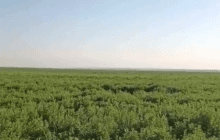 У Зеленського показали, як зараз виглядає Каховське водосховище (відео)
