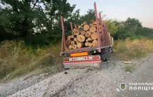 В Винницкой области произошло ужасное ДТП: погибли девять человек, среди которых дети (видео)