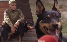 Легендарна собака Жужа возз'єдналася з бійцем, якого врятувала під Бахмутом (відео)